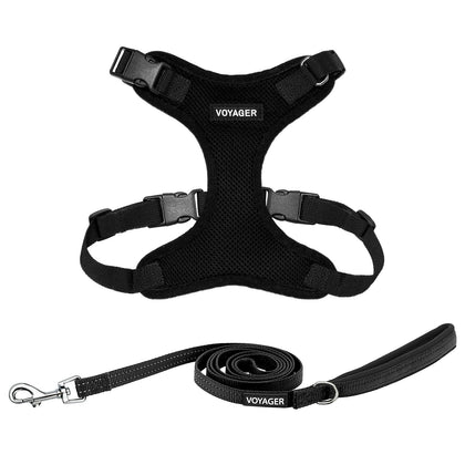 Step-In Lock Harness & Leash Set - VOYAGER Dog Harnesses
