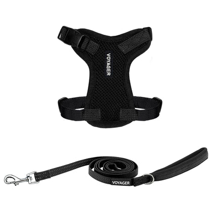 Step-In Lock Harness & Leash Set - VOYAGER Dog Harnesses