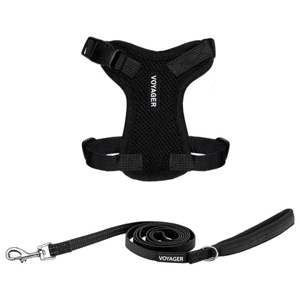 Step-In Lock Harness & Leash Set - VOYAGER Dog Harnesses