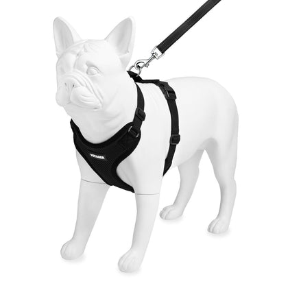 Step-In Lock Harness & Leash Set - VOYAGER Dog Harnesses