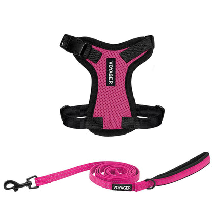 Step-In Lock Harness & Leash Set For Cats - VOYAGER Dog Harnesses