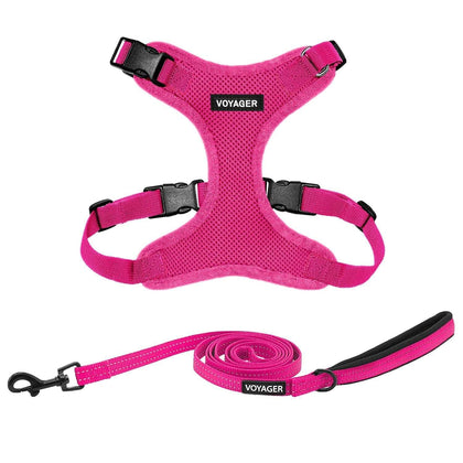 Step-In Lock Harness & Leash Combo Set - Matching Trim