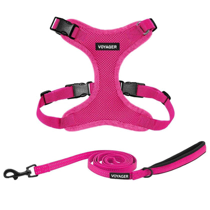 Step-In Lock Harness & Leash Combo Set - Matching Trim