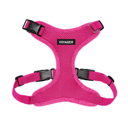 Step-In Lock Harness & Leash Combo Set - Matching Trim