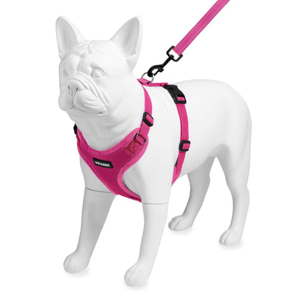 Step-In Lock Harness & Leash Combo Set - Matching Trim - VOYAGER Dog Harnesses