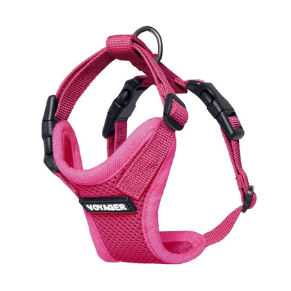 Step-In Lock Harness & Leash Set For Cats - VOYAGER Dog Harnesses