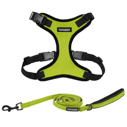 Step-In Lock Harness & Leash Combo Set