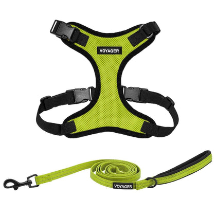 Step-In Lock Harness & Leash Combo Set