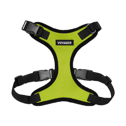 Step-In Lock Harness & Leash Combo Set