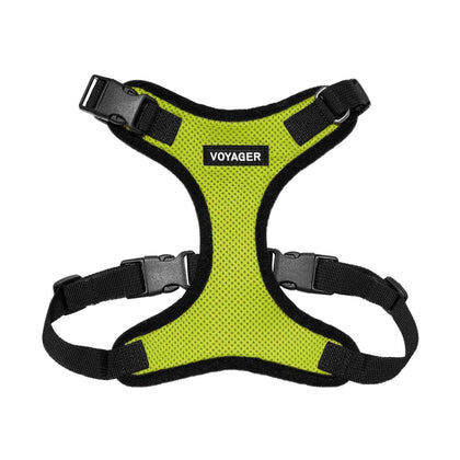 Step-In Lock Harness & Leash Combo Set