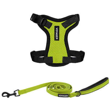 Step-In Lock Harness & Leash Set - VOYAGER Dog Harnesses