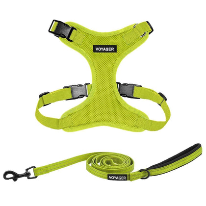Step-In Lock Harness & Leash Combo Set - Matching Trim