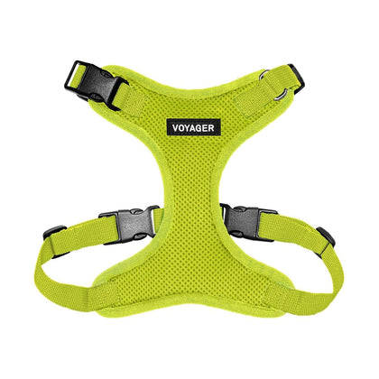 Step-In Lock Harness & Leash Combo Set - Matching Trim