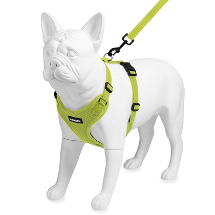 Step-In Lock Harness & Leash Set - VOYAGER Dog Harnesses