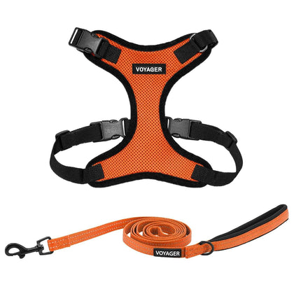 Step-In Lock Harness & Leash Combo Set