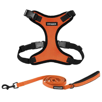 Step-In Lock Harness & Leash Combo Set