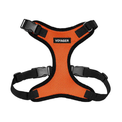 Step-In Lock Harness & Leash Combo Set
