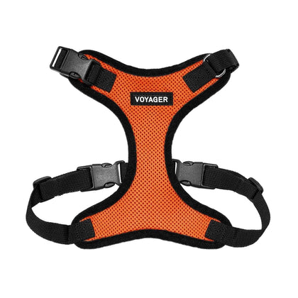 Step-In Lock Harness & Leash Combo Set