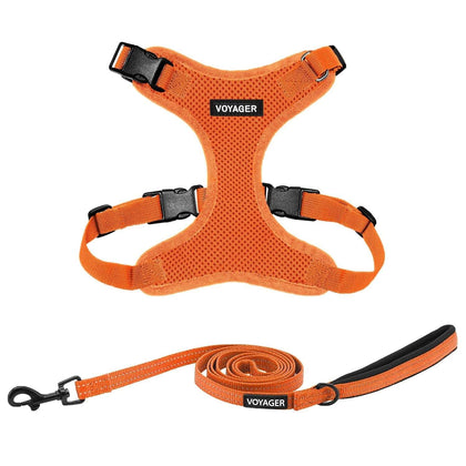 Step-In Lock Harness & Leash Combo Set - Matching Trim