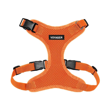 Step-In Lock Harness & Leash Combo Set - Matching Trim