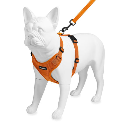 Step-In Lock Harness & Leash Combo Set - Matching Trim - VOYAGER Dog Harnesses