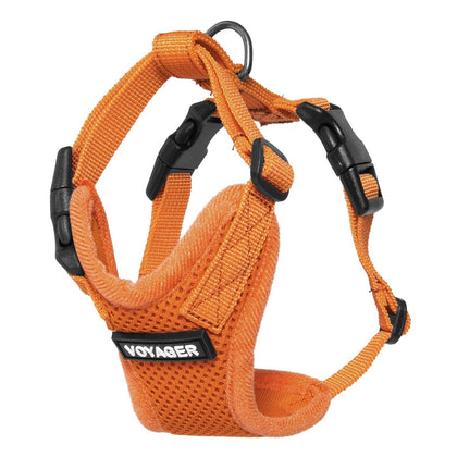 Step-In Lock Harness & Leash Set For Cats - VOYAGER Dog Harnesses