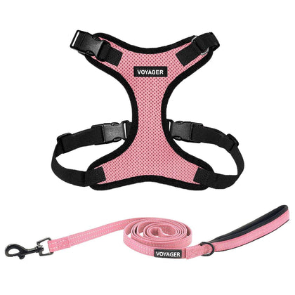 Step-In Lock Harness & Leash Combo Set