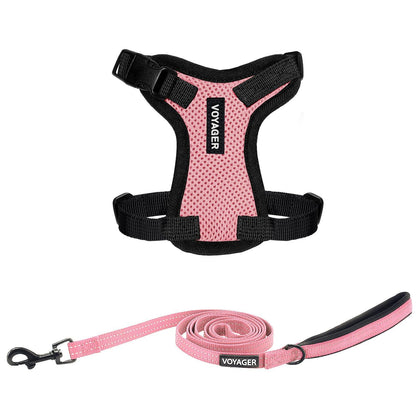 Step-In Lock Harness & Leash Set For Cats - VOYAGER Dog Harnesses