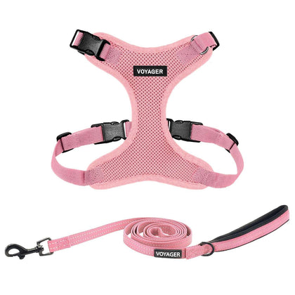Step-In Lock Harness & Leash Combo Set - Matching Trim