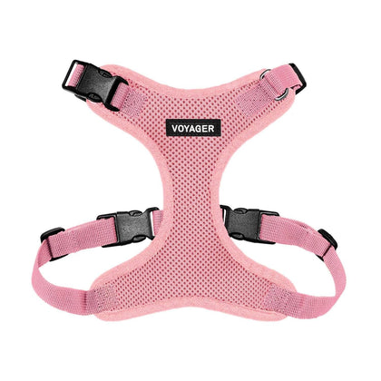 Step-In Lock Harness & Leash Combo Set - Matching Trim