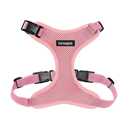 Step-In Lock Harness & Leash Combo Set - Matching Trim