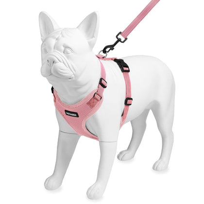 Step-In Lock Harness & Leash Combo Set - Matching Trim - VOYAGER Dog Harnesses