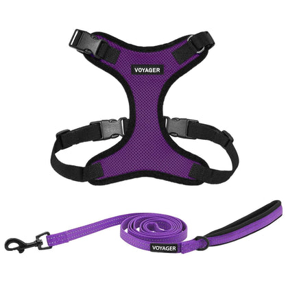 Step-In Lock Harness & Leash Combo Set
