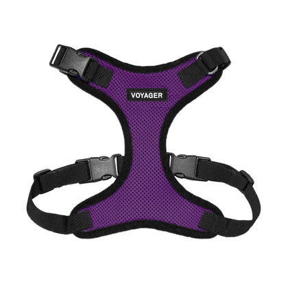 Step-In Lock Harness & Leash Combo Set