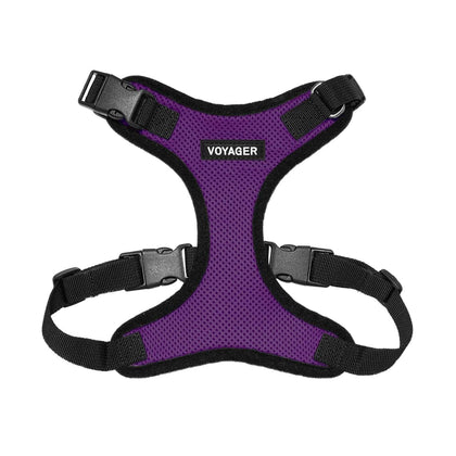 Step-In Lock Harness & Leash Combo Set