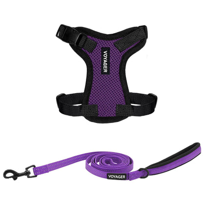Step-In Lock Harness & Leash Set For Cats - VOYAGER Dog Harnesses