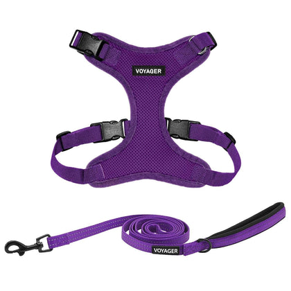 Step-In Lock Harness & Leash Combo Set - Matching Trim