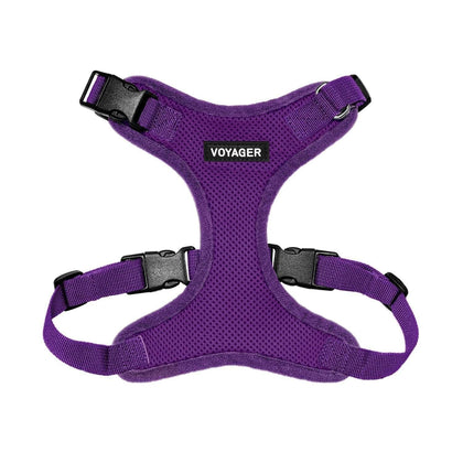 Step-In Lock Harness & Leash Combo Set - Matching Trim