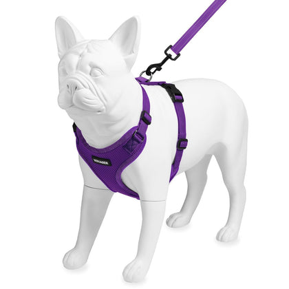 Step-In Lock Harness & Leash Combo Set - Matching Trim - VOYAGER Dog Harnesses