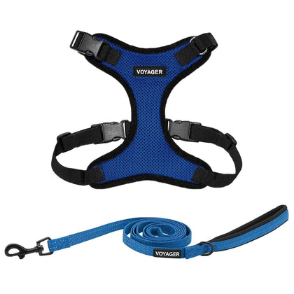 Step-In Lock Harness & Leash Combo Set