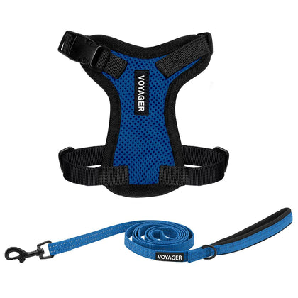Step-In Lock Harness & Leash Set - VOYAGER Dog Harnesses