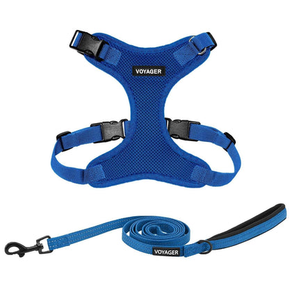 Step-In Lock Harness & Leash Combo Set - Matching Trim