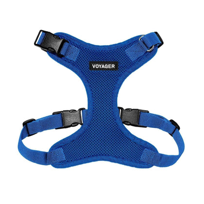 Step-In Lock Harness & Leash Combo Set - Matching Trim