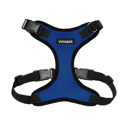 Step-In Lock Harness & Leash Combo Set