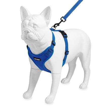 Step-In Lock Harness & Leash Combo Set - Matching Trim - VOYAGER Dog Harnesses