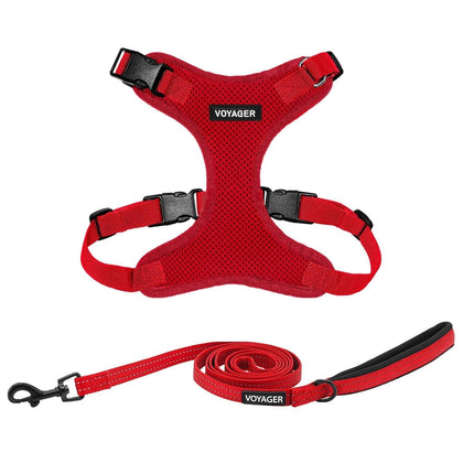 Step-In Lock Harness & Leash Combo Set - Matching Trim
