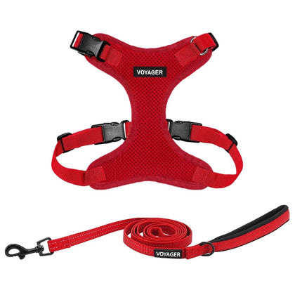 Step-In Lock Harness & Leash Combo Set - Matching Trim