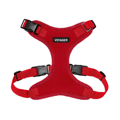 Step-In Lock Harness & Leash Combo Set - Matching Trim