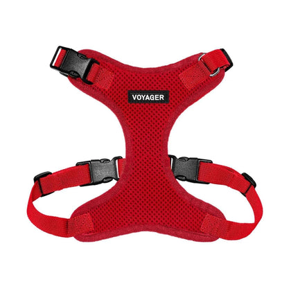 Step-In Lock Harness & Leash Combo Set - Matching Trim