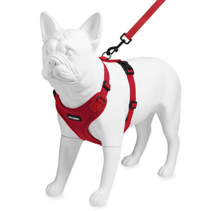 Step-In Lock Harness & Leash Combo Set - Matching Trim - VOYAGER Dog Harnesses